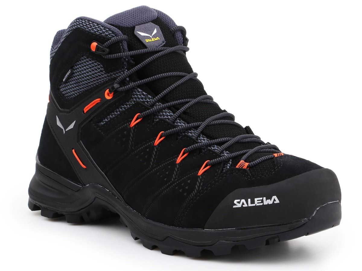 Salewa deals ms alp